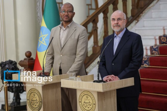 دیدار رئیس مجلس اتیوپی با رئیس مجلس شورای اسلامی