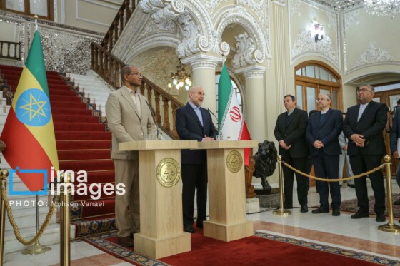 دیدار رئیس مجلس اتیوپی با رئیس مجلس شورای اسلامی