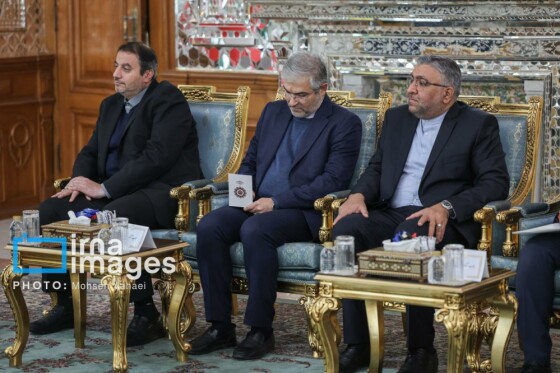 دیدار رئیس مجلس اتیوپی با رئیس مجلس شورای اسلامی