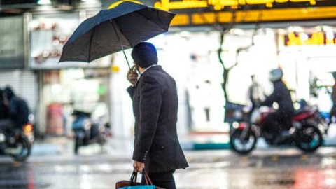 باد و باران در نقاط مختلف تهران