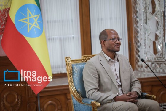 دیدار رئیس مجلس اتیوپی با رئیس مجلس شورای اسلامی