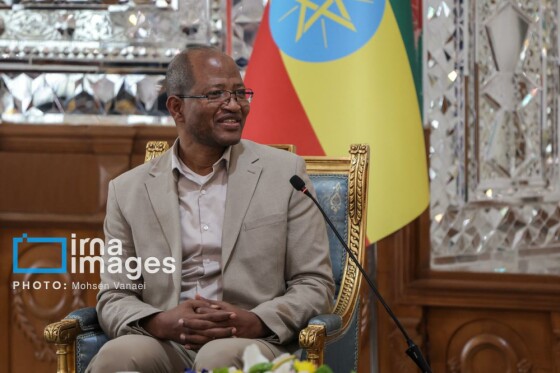 دیدار رئیس مجلس اتیوپی با رئیس مجلس شورای اسلامی