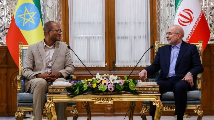 دیدار قالیباف با رییس مجلس اتیوپی