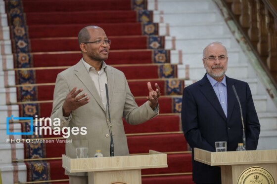 دیدار رئیس مجلس اتیوپی با رئیس مجلس شورای اسلامی