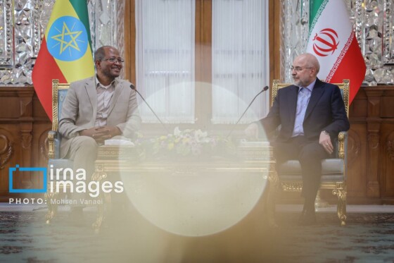 دیدار رئیس مجلس اتیوپی با رئیس مجلس شورای اسلامی