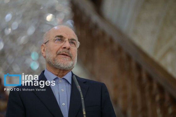 دیدار رئیس مجلس اتیوپی با رئیس مجلس شورای اسلامی