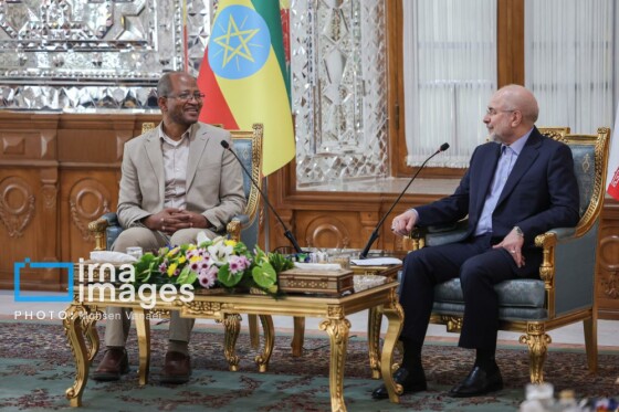 دیدار رئیس مجلس اتیوپی با رئیس مجلس شورای اسلامی