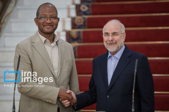 دیدار رئیس مجلس اتیوپی با رئیس مجلس شورای اسلامی