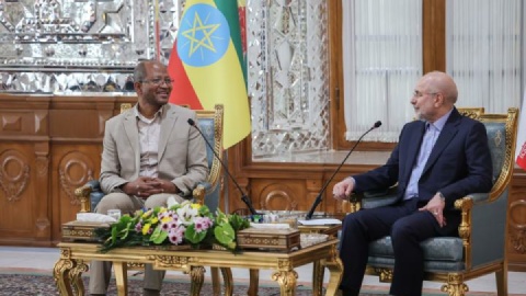 قالیباف: فعال شدن سفارتخانههای ایران و اتیوپی برای توسعه روابط ضروری است