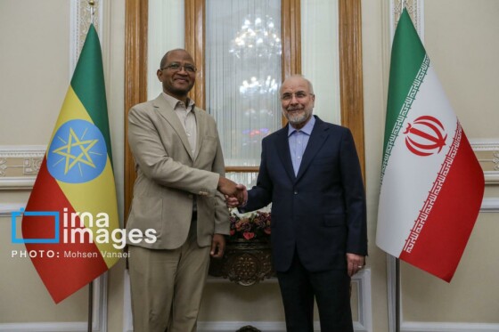 دیدار رئیس مجلس اتیوپی با رئیس مجلس شورای اسلامی