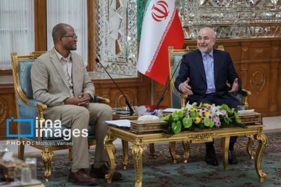 دیدار رئیس مجلس اتیوپی با رئیس مجلس شورای اسلامی