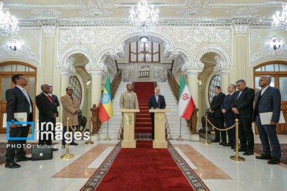 دیدار رئیس مجلس اتیوپی با رئیس مجلس شورای اسلامی