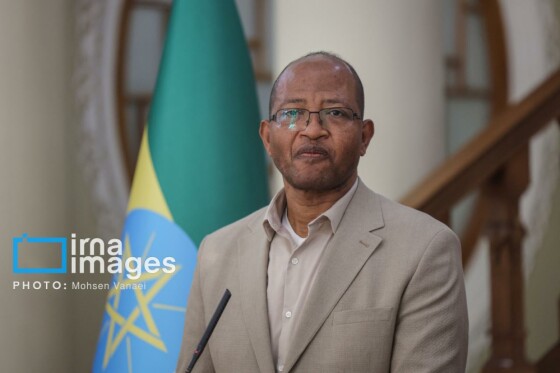 دیدار رئیس مجلس اتیوپی با رئیس مجلس شورای اسلامی