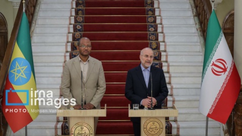 گزارش تصویری/ دیدار رئیس مجلس اتیوپی با رئیس مجلس شورای اسلامی