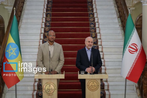 دیدار رئیس مجلس اتیوپی با رئیس مجلس شورای اسلامی
