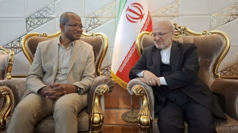 رئیس مجلس اتیوپی وارد تهران شد