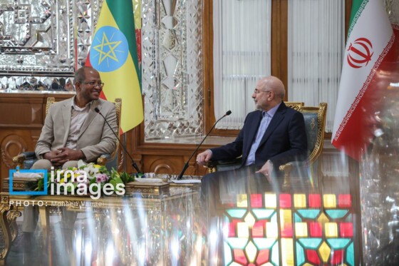 دیدار رئیس مجلس اتیوپی با رئیس مجلس شورای اسلامی