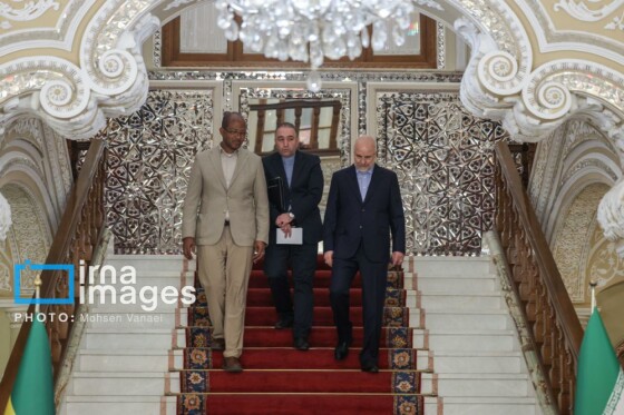 دیدار رئیس مجلس اتیوپی با رئیس مجلس شورای اسلامی