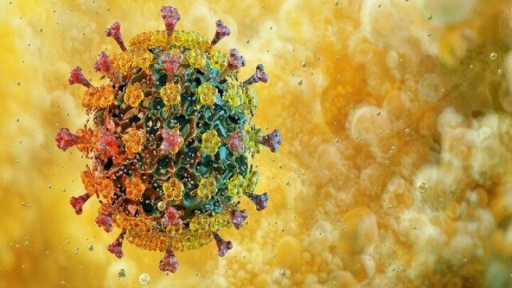 ثبت پنجمین فوتی قطعی ناشی از آنفلوآنزا در هرمزگان