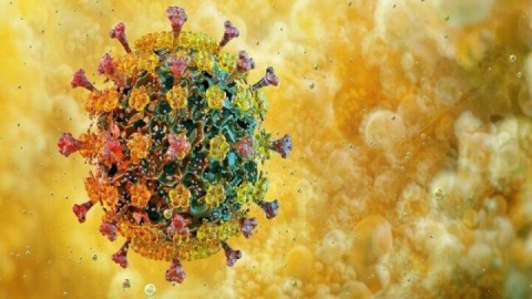 ثبت پنجمین فوتی قطعی ناشی از آنفلوآنزا در هرمزگان