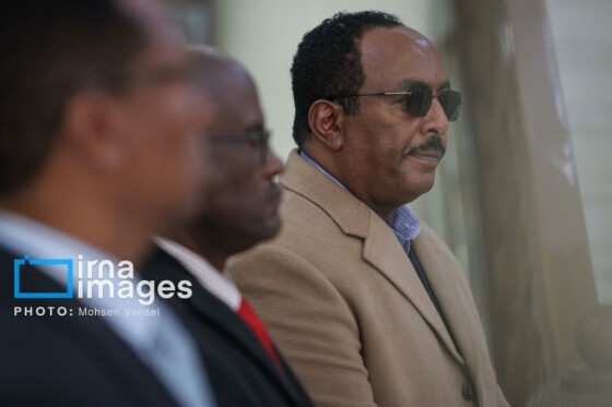 دیدار رئیس مجلس اتیوپی با رئیس مجلس شورای اسلامی