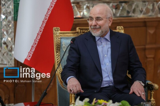 دیدار رئیس مجلس اتیوپی با رئیس مجلس شورای اسلامی