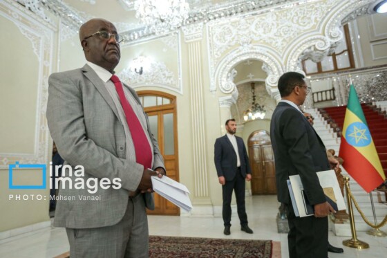 دیدار رئیس مجلس اتیوپی با رئیس مجلس شورای اسلامی