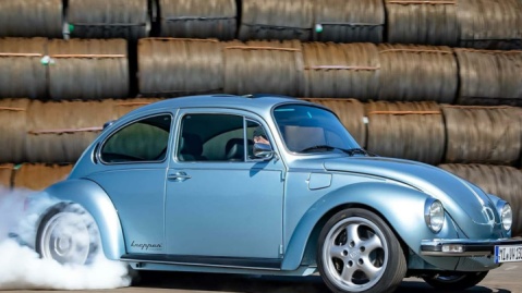 تولدِ دوباره از دلِ یک اوراقی