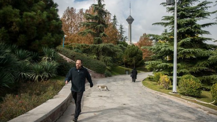 هوای پایتخت در وضعیت مطلوب