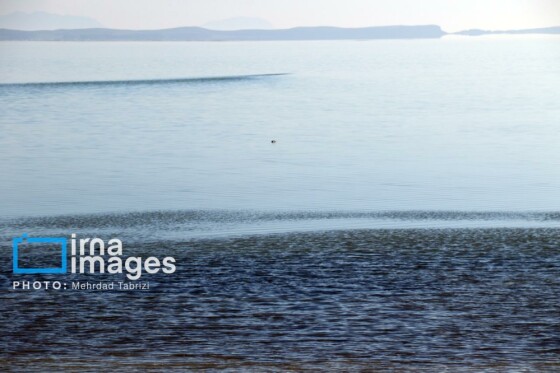 افزایش ۴۰ سانتی تراز دریاچه ارومیه
