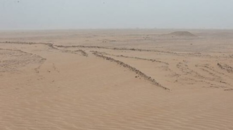 ۱۴ میلیون هکتار از اراضی کشور در معرض بیابان‌زایی و کانون‌های بحرانی فرسایش بادی