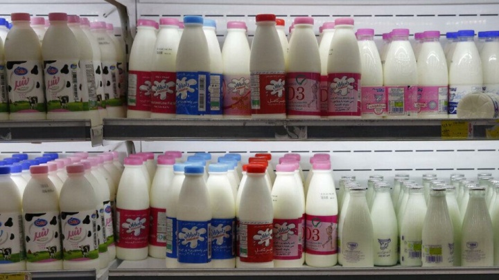 لبنیات ارزان می‌شود