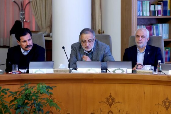 گزارش تصویری/ جلسه هیئت دولت