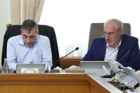 گزارش تصویری/ جلسه هیئت دولت