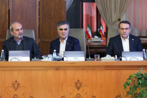 گزارش تصویری/ جلسه هیئت دولت