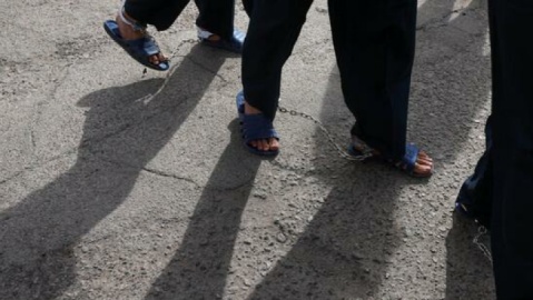 اعضای باند موبایل قاپی و اعتراف به ۵۰ فقره سرقت دستگیر شدند