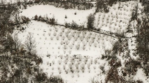 گزارش تصویری / بارش برف در منطقه اشکور رحیم آباد- گیلان
