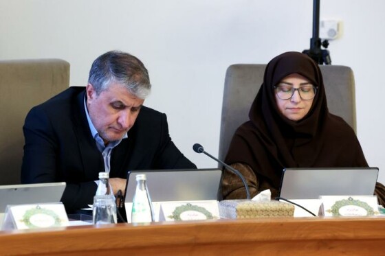 گزارش تصویری/ جلسه هیئت دولت