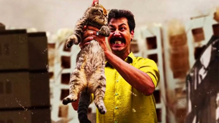 «سال گربه»؛ سقوط به ورطه‌ی کمدی شلخته