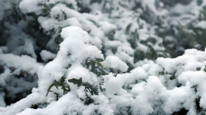 سرما و برف سراسری در انتظار کشور؛ موج جدید بارش‌ها آغاز شد