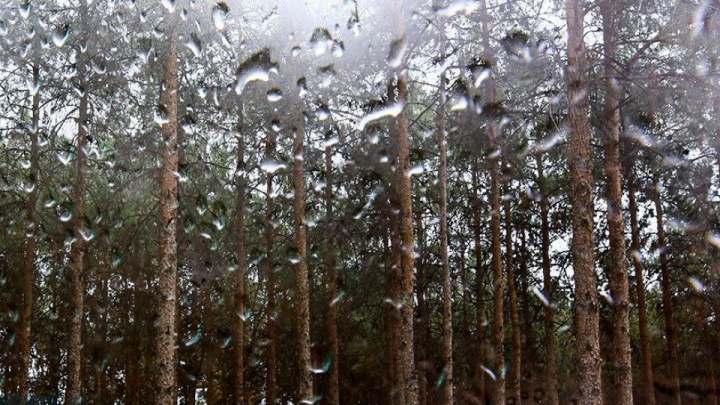 هشدار هواشناسی برای بارش باران شدید و برف و کاهش محسوس دما