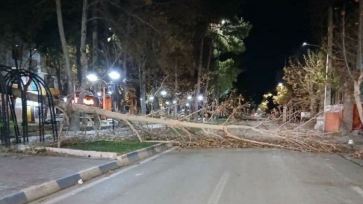 تندباد عامل بروز خسارت‌ جانی و مالی در ایلام