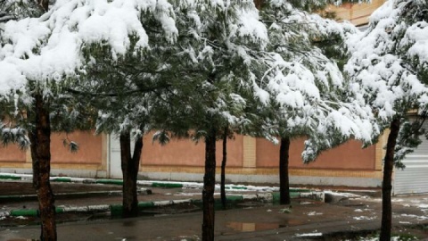 این استانها همچنان برفی و بارانی هستند