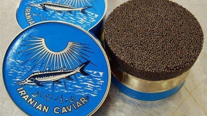 عزم دولت برای توسعه اقتصاد دریامحور؛ خاویار مازندران به ازبکستان صادر می‌شود