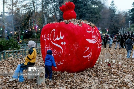 عکس: حسین نقی زاده