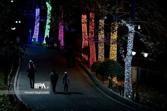 عکس: حسین نقی زاده