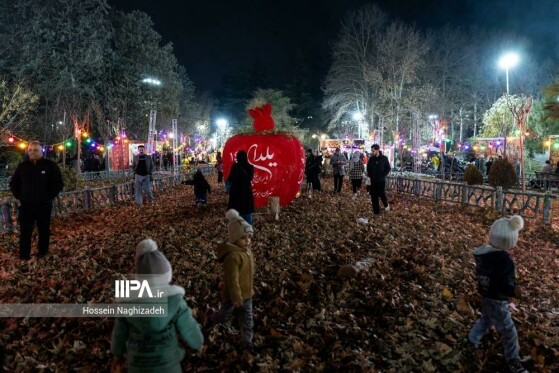 عکس: حسین نقی زاده