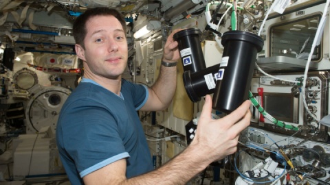 ناسا درمان سرطان را سرعت می‌دهد