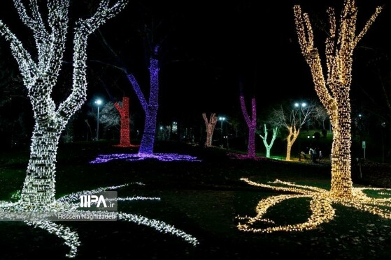 عکس: حسین نقی زاده