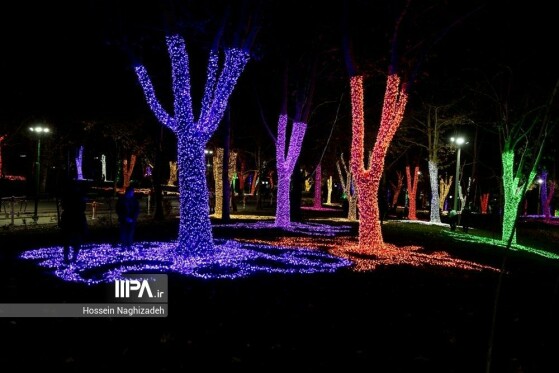 عکس: حسین نقی زاده